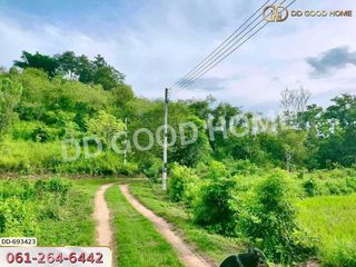 For sale land in Phan, Chiang Rai