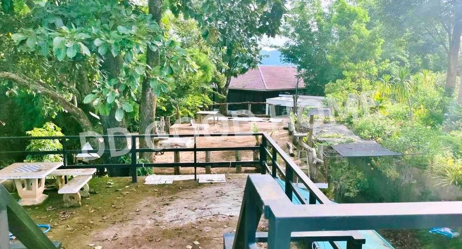 出售 土地 在 Phan, Chiang Rai
