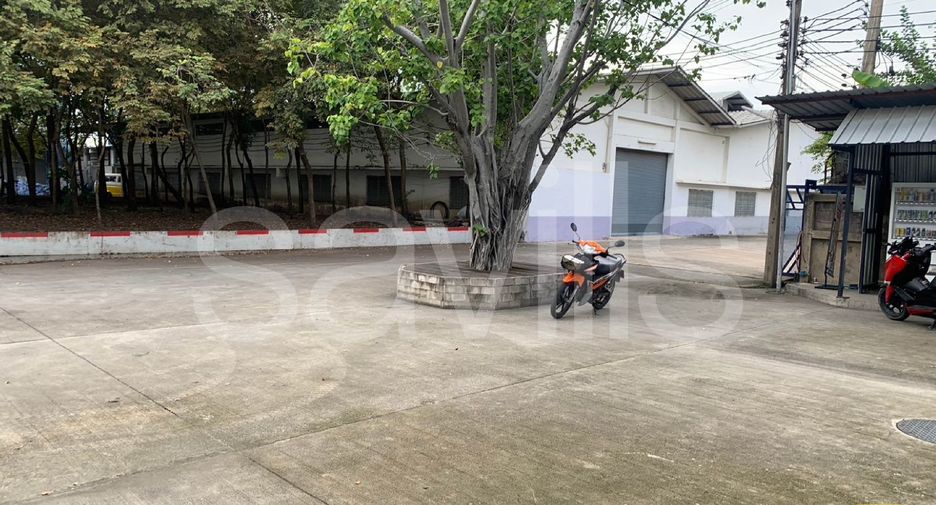 ให้เช่า โกดัง ใน พระประแดง, สมุทรปราการ