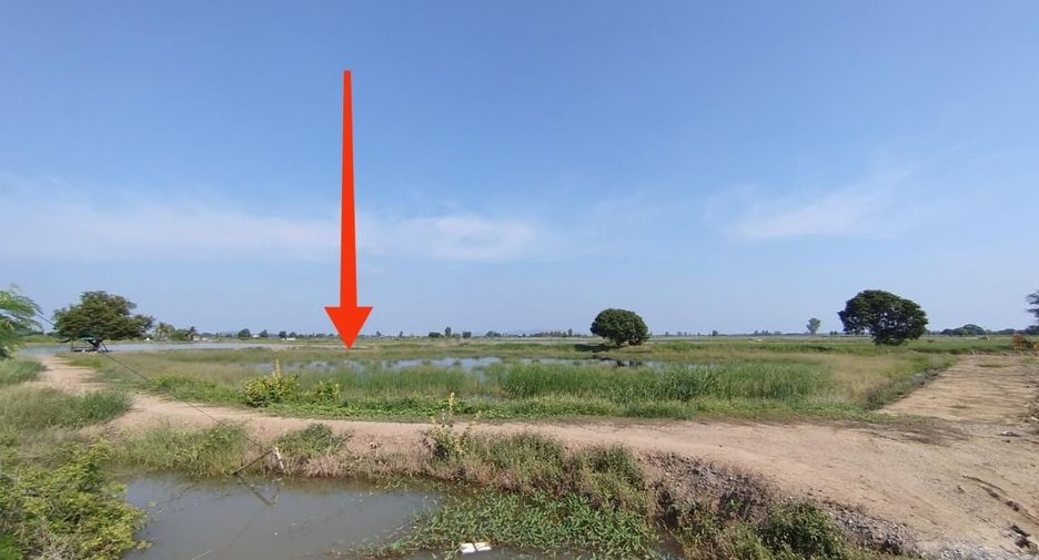 For sale land in U Thong, Suphan Buri