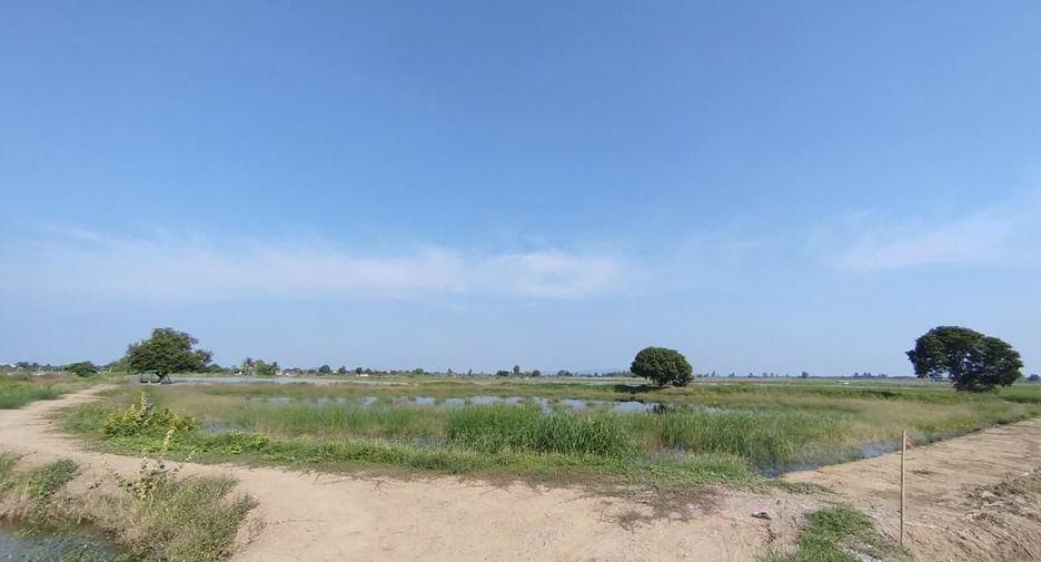 For sale land in U Thong, Suphan Buri