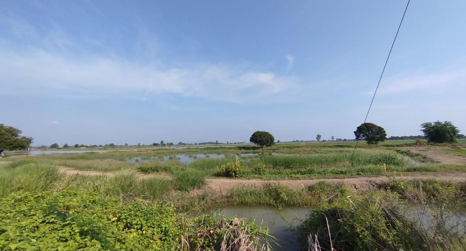 For sale land in U Thong, Suphan Buri