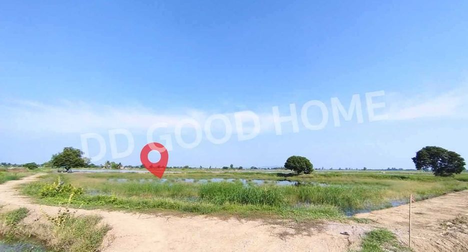 For sale land in U Thong, Suphan Buri