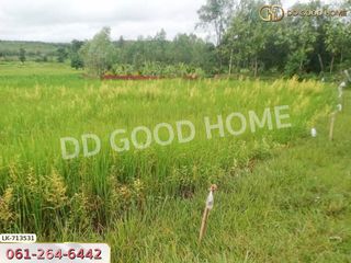 Terreno en venta en That Phanom, Nakhon Phanom