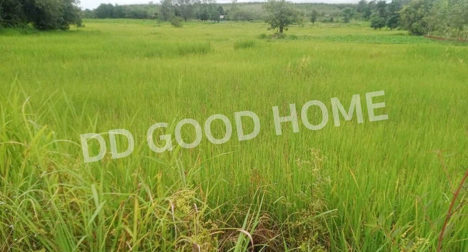 For sale land in That Phanom, Nakhon Phanom