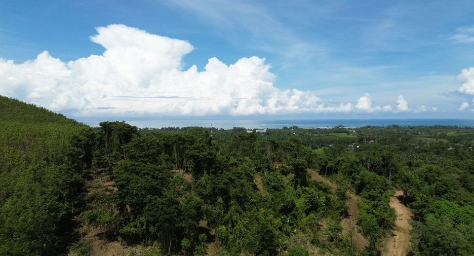 For sale land in Takua Pa, Phang Nga