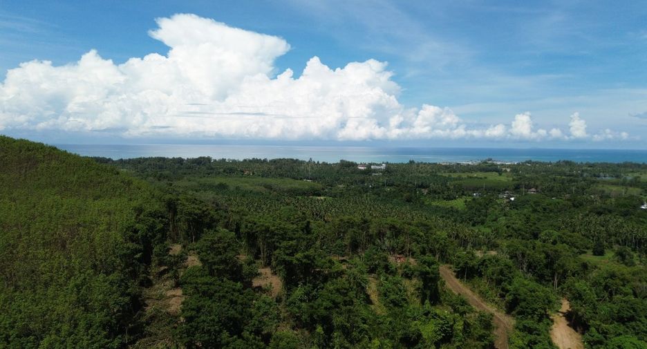 For sale land in Takua Pa, Phang Nga