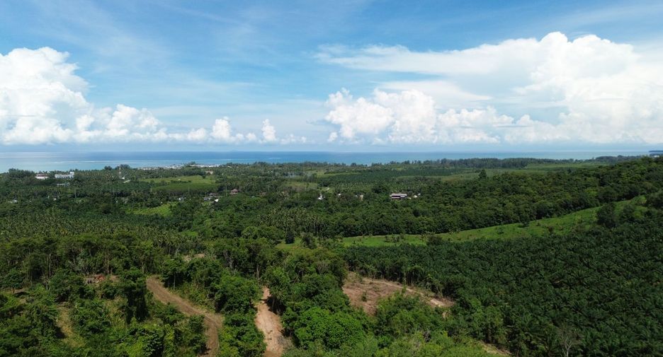For sale land in Takua Pa, Phang Nga