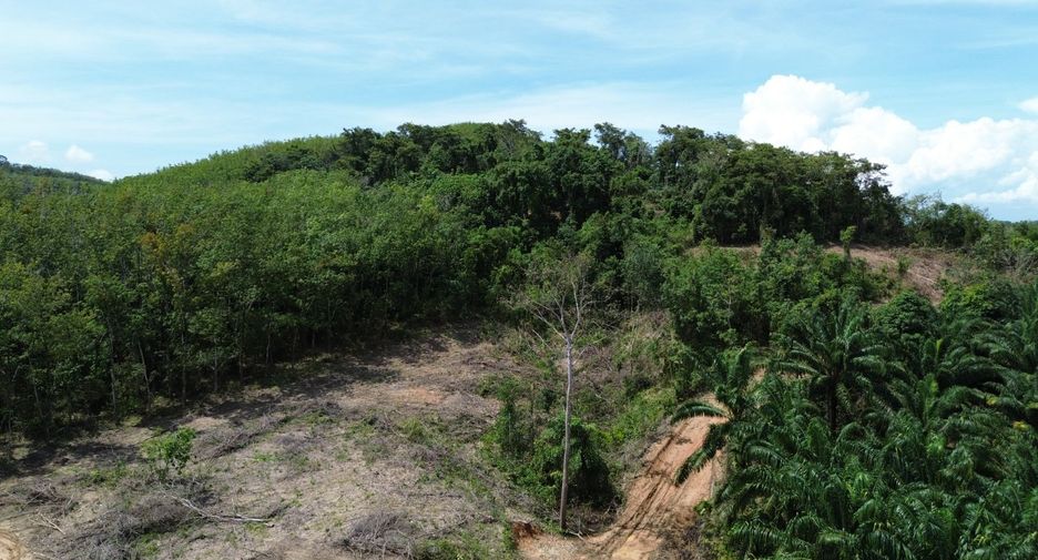 For sale land in Takua Pa, Phang Nga