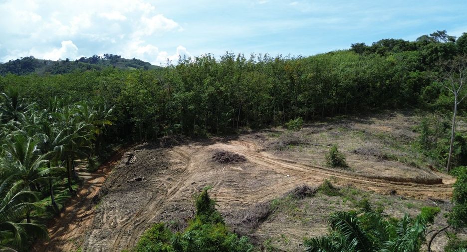 For sale land in Takua Pa, Phang Nga
