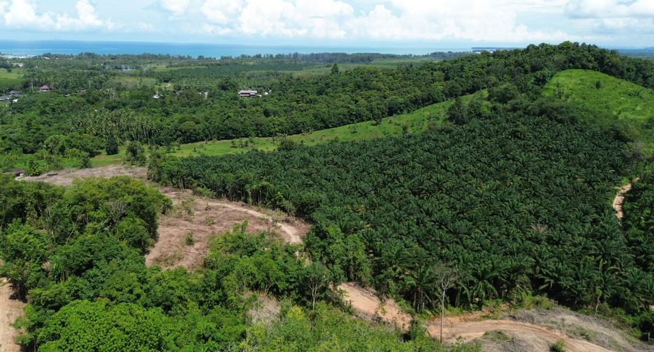For sale land in Takua Pa, Phang Nga