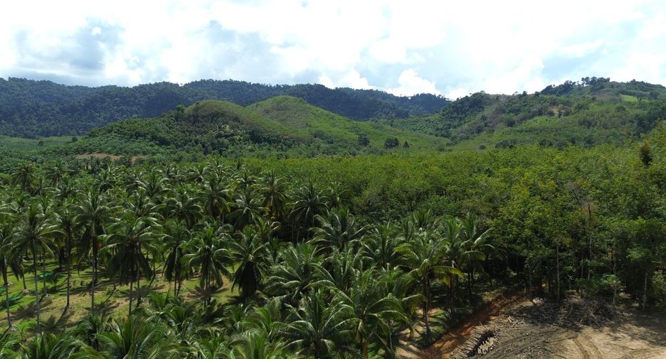 For sale land in Takua Pa, Phang Nga