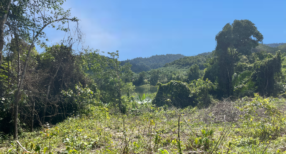 For sale land in Takua Pa, Phang Nga