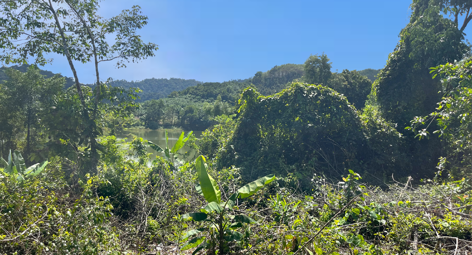 For sale land in Takua Pa, Phang Nga