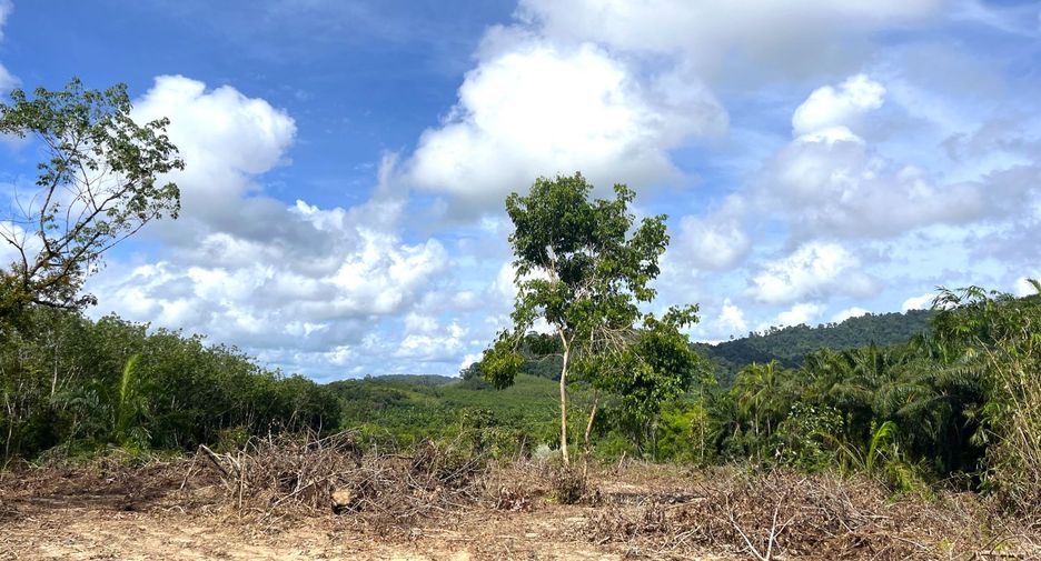 For sale land in Takua Pa, Phang Nga