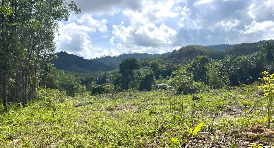 For sale land in Takua Pa, Phang Nga