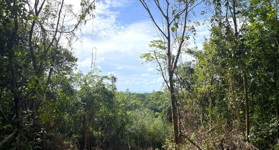 For sale land in Takua Pa, Phang Nga