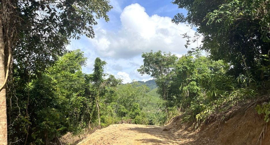 For sale land in Takua Pa, Phang Nga