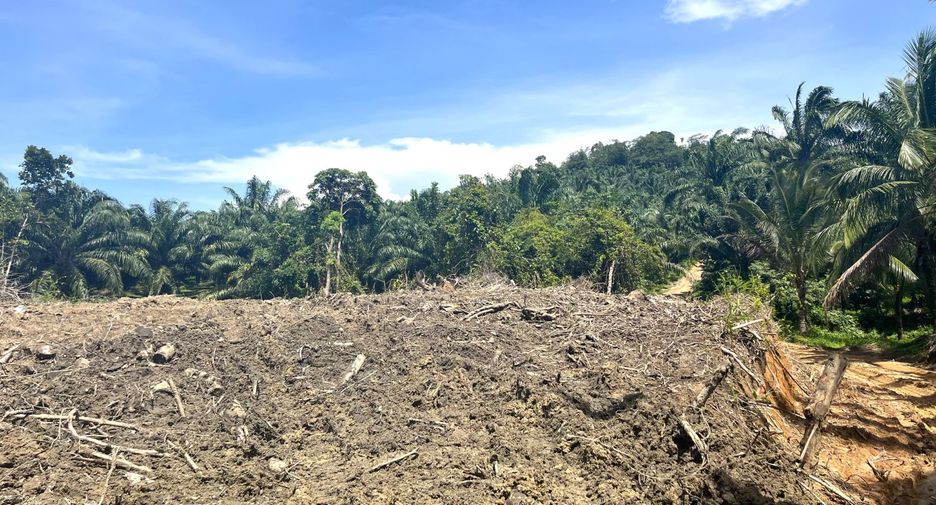 For sale land in Takua Pa, Phang Nga