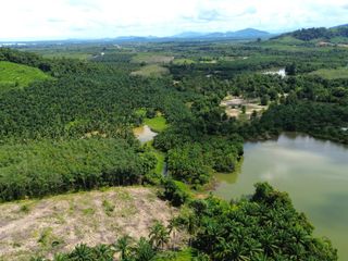 出售 土地 在 Takua Pa, Phangnga