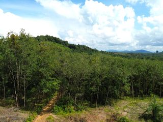 出售 土地 在 Takua Pa, Phangnga
