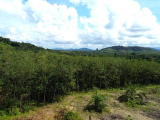 出售 土地 在 Takua Pa, Phangnga