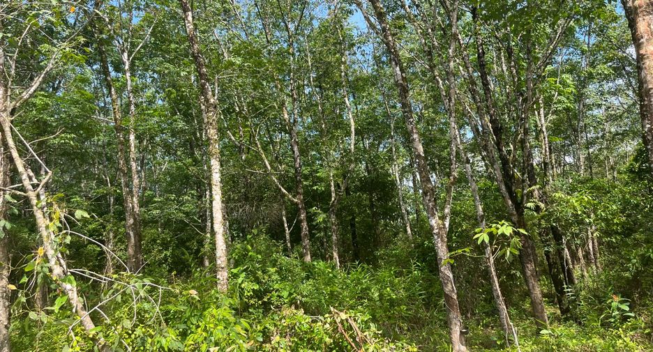 Terreno en venta en Takua Pa, Phang Nga