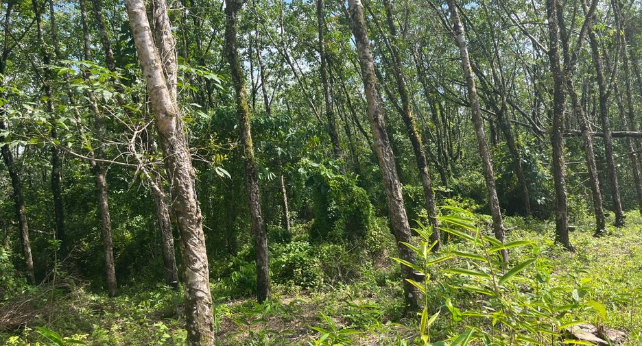 Terreno en venta en Takua Pa, Phang Nga