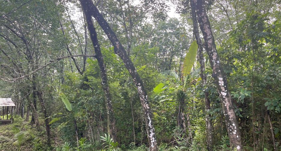 Terreno en venta en Takua Pa, Phang Nga