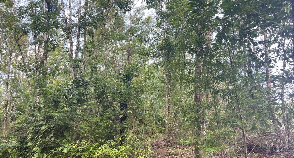 Terreno en venta en Takua Pa, Phang Nga