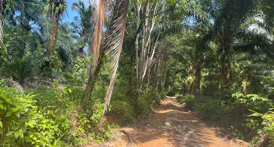 Terreno en venta en Takua Pa, Phang Nga
