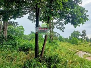 出售 土地 在 Kabin Buri, Prachin Buri