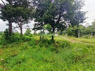 出售 土地 在 Kabin Buri, Prachin Buri