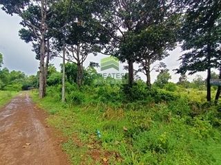 出售 土地 在 Kabin Buri, Prachin Buri