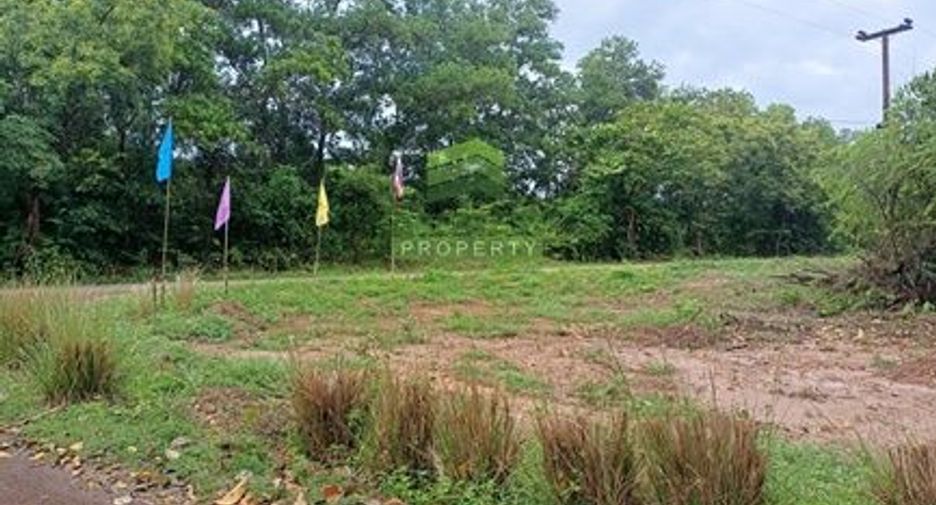 出售 土地 在 Kabin Buri, Prachin Buri