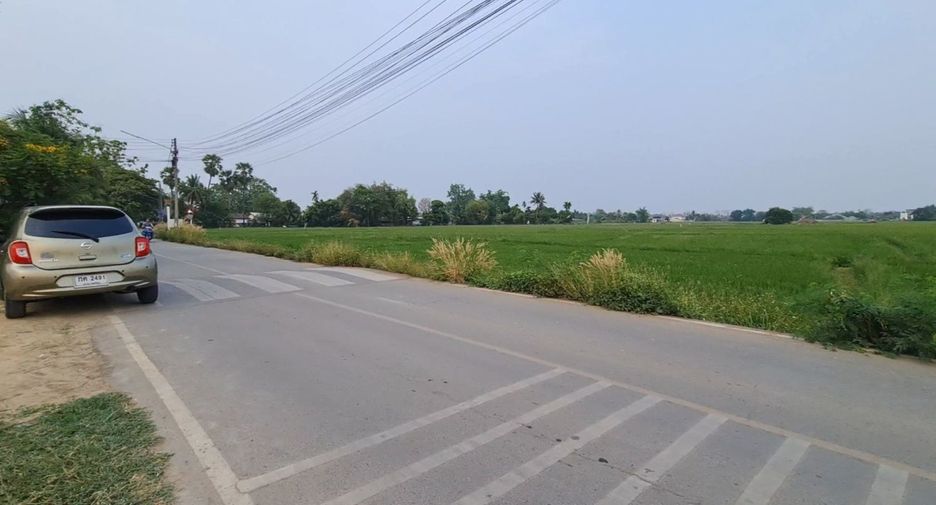 For sale land in San Sai, Chiang Mai