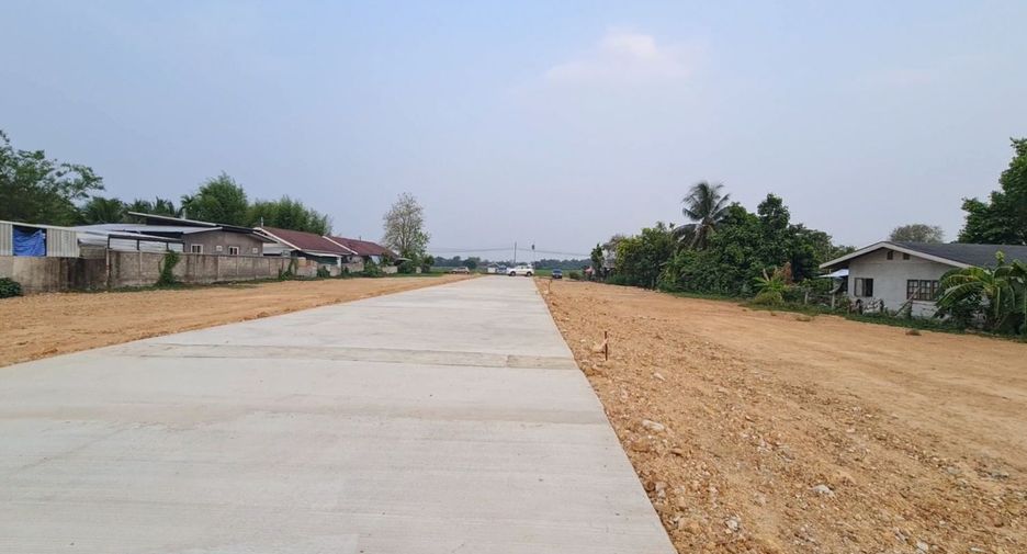 For sale land in San Sai, Chiang Mai