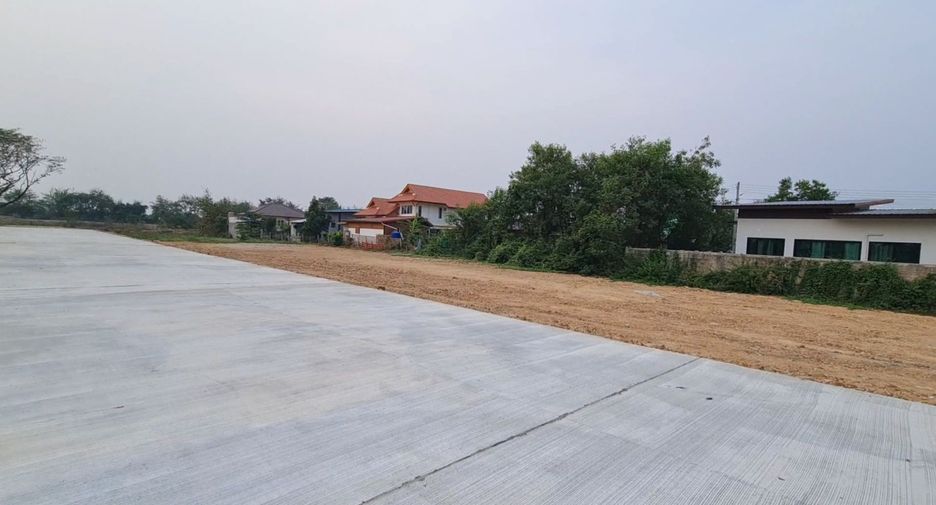 For sale land in San Sai, Chiang Mai