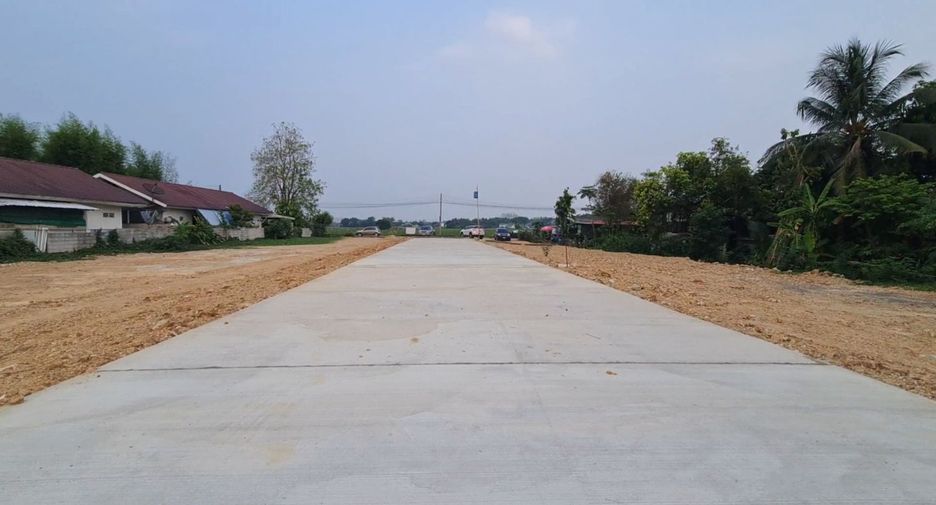 For sale land in San Sai, Chiang Mai