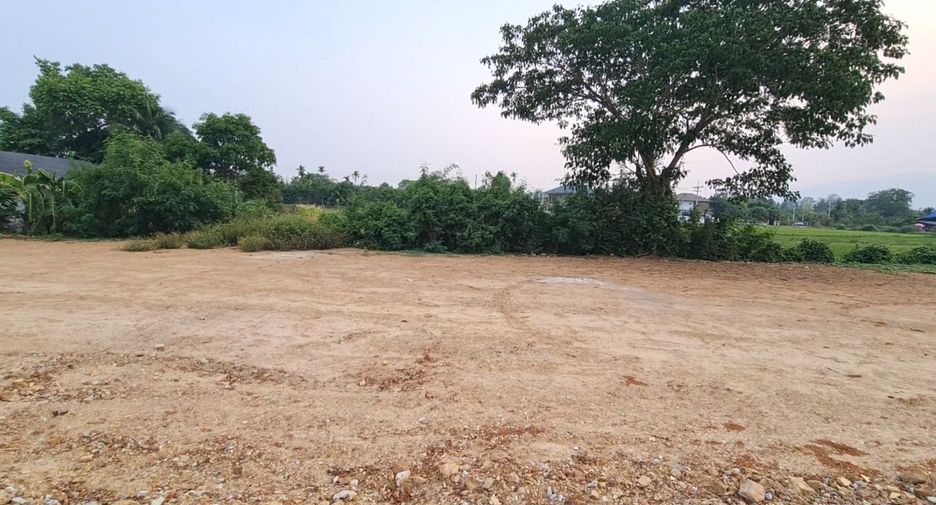 For sale land in San Sai, Chiang Mai