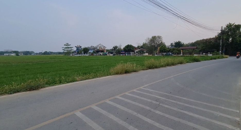For sale land in San Sai, Chiang Mai