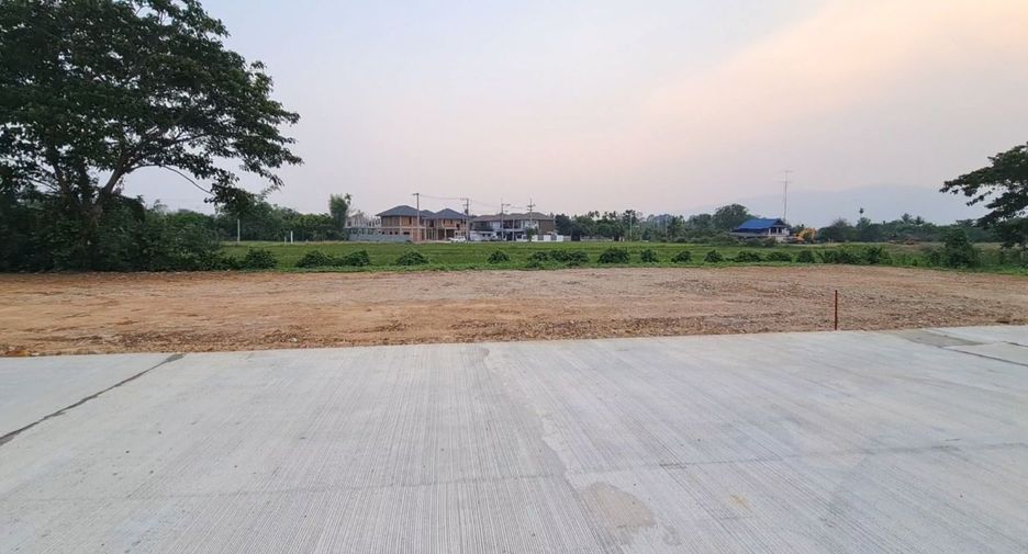 For sale land in San Sai, Chiang Mai
