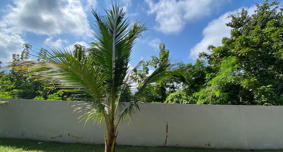 For rent and for sale 3 bedrooms house in Mae On, Chiang Mai