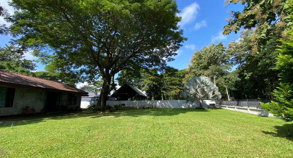 For rent and for sale 3 bedrooms house in Mae On, Chiang Mai