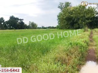 For sale land in Nong Bua, Nakhon Sawan