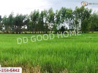 For sale land in Nong Bua, Nakhon Sawan