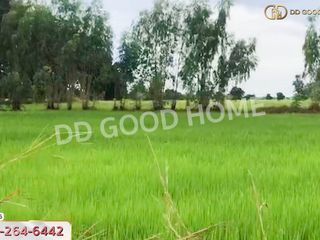 For sale land in Nong Bua, Nakhon Sawan