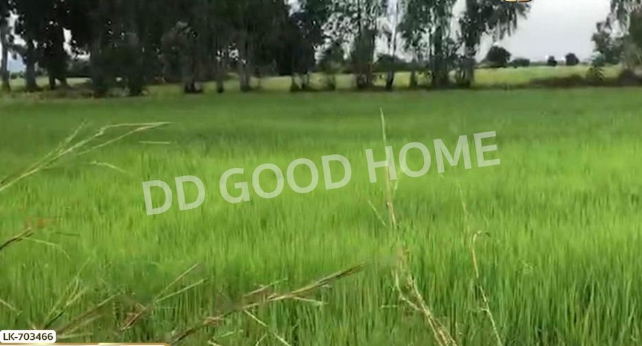 For sale land in Nong Bua, Nakhon Sawan