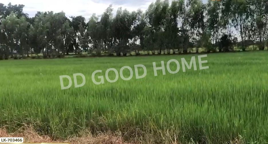 For sale land in Nong Bua, Nakhon Sawan