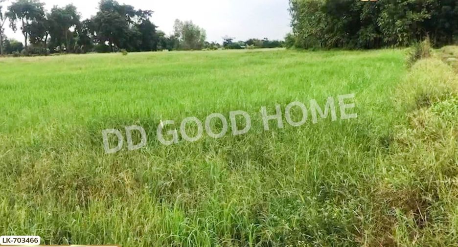 For sale land in Nong Bua, Nakhon Sawan